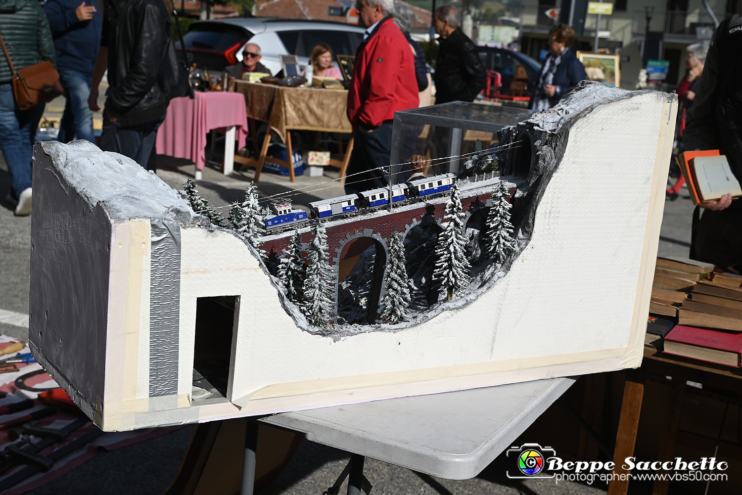 VBS_8320 - Mercatino dell'Antiquariato e dell'Hobbismo.jpg